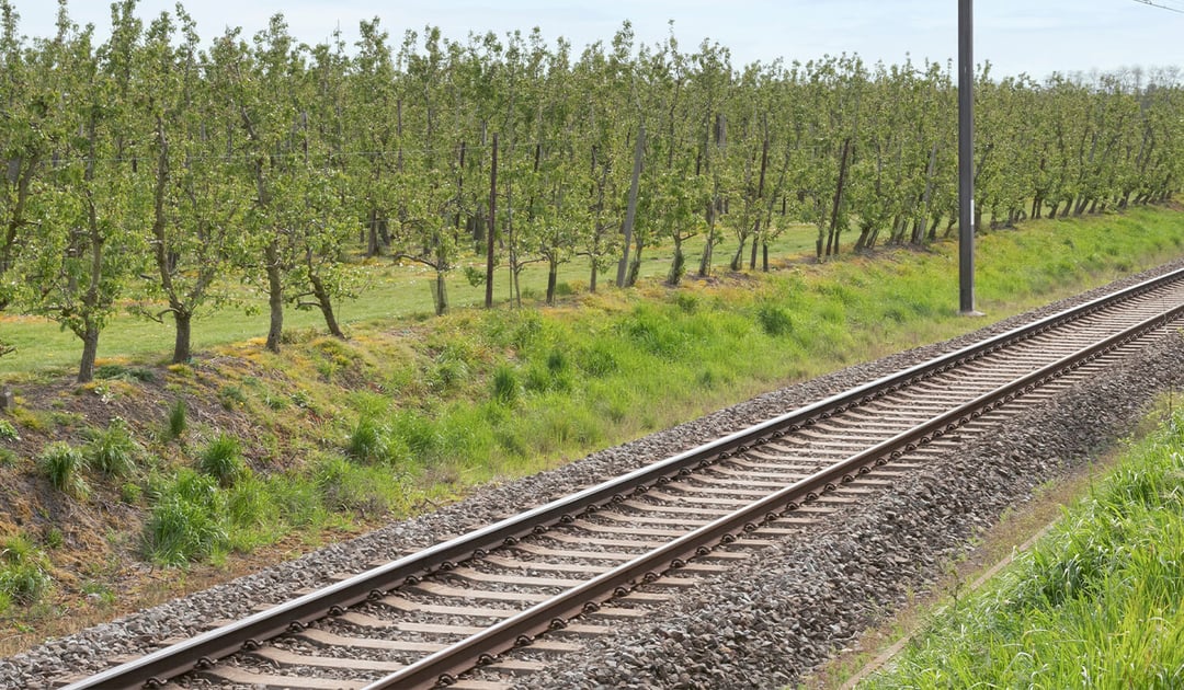 Railroad apples