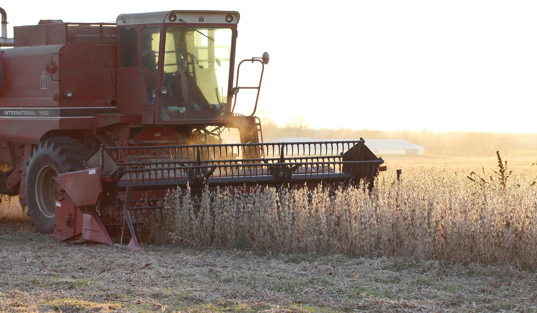 Tractor harvesting soybeans on a farm