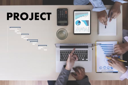 TMS project plan