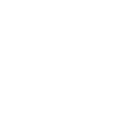 Diesel Icon Round