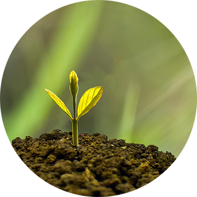 Sustainability circle